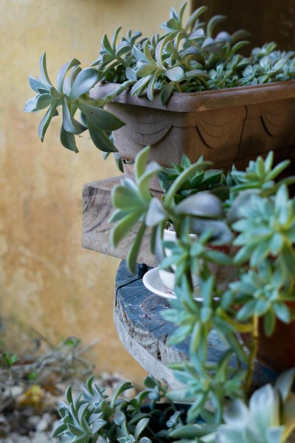 Bed & Breakfast Casa Dos Acores B&B 2*